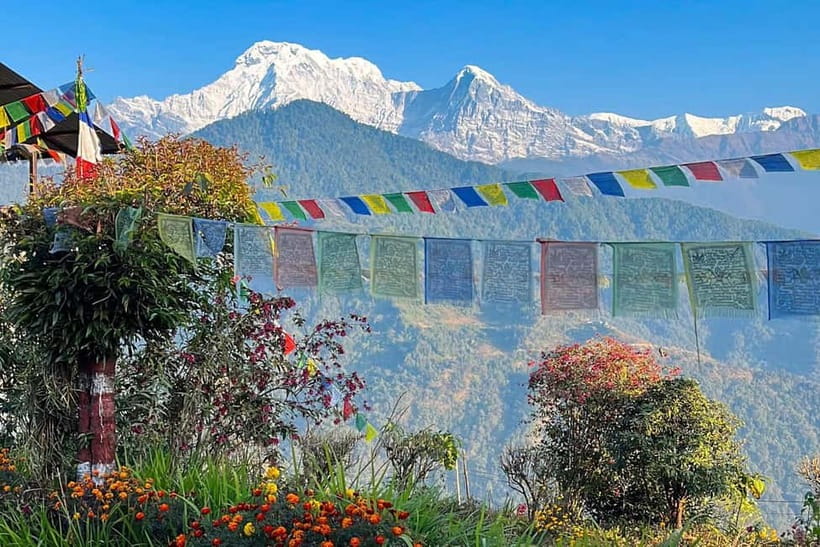 Pokhara: Day Hiking to Australian Base Camp with Lunch - Dhampus and Gurung settlements: culture woven into the route