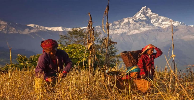 Pokhara: Day Hiking to Australian Base Camp with Lunch - Guides make the difference, from Moti Thapa to Rajesh