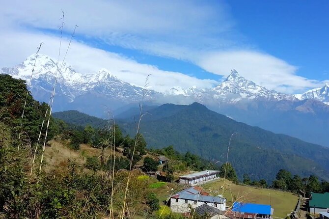 Pokhara: Dhampus Easy Trek for Families with YoungKids 2 Day Tour - Day 2: Sunrise over Annapurna and Manaslu, then back down to Phedi