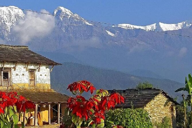 Pokhara: Dhampus Easy Trek for Families with YoungKids 2 Day Tour - Logistics that make parenting easier (and where you still need to plan)