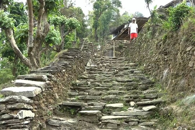 Pokhara: Dhampus Easy Trek for Families with YoungKids 2 Day Tour - Who this trek is best for, and who should choose something harder
