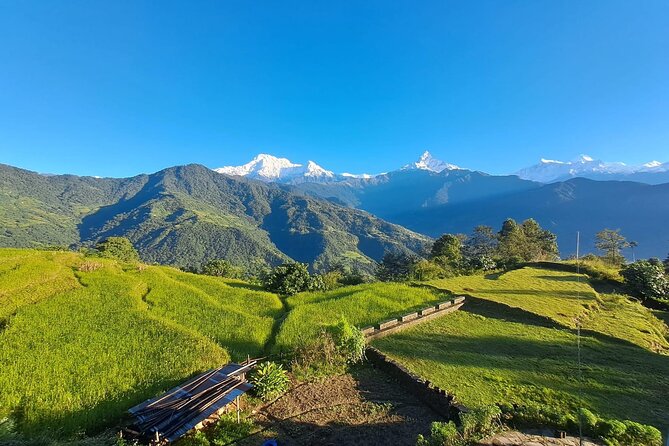 Pokhara: Easy Day Hike to Australian Camp & Dhampus Village - Up to Australian Camp: where the views earn their reputation