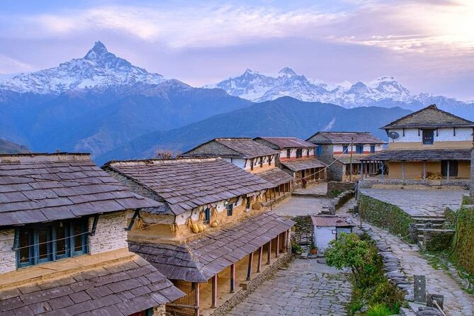 Pokhara: Easy Day Hike to Australian Camp & Dhampus Village - The descent to Phedi: the part your knees will remember