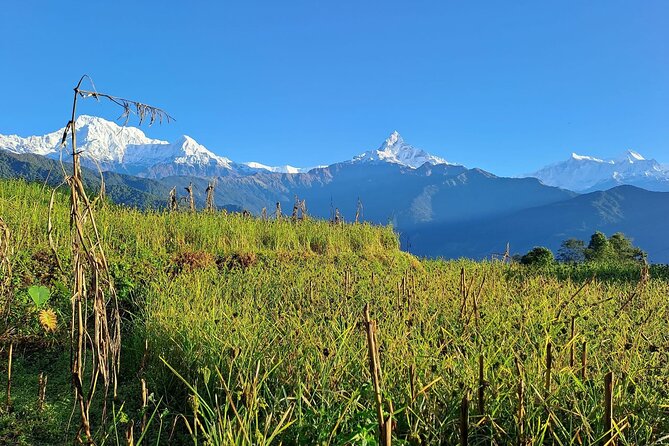 Pokhara: Easy Day Hike to Australian Camp & Dhampus Village - Dhampus Village for Gurung culture and panoramic pauses