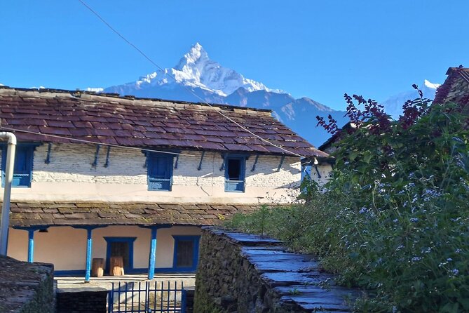 Pokhara: Easy Day Hike to Australian Camp & Dhampus Village - Sarangkot viewpoint vibes: why this route feels extra scenic