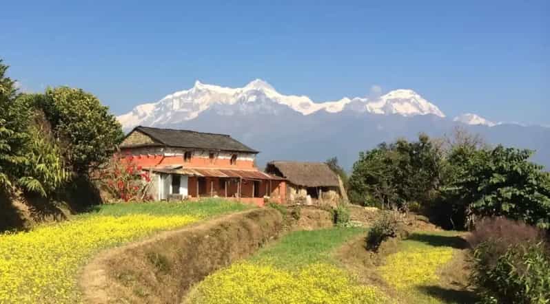 Pokhara : Easy Dhampus & Astam Village Day Hike - The Dhampus ascent: terraced fields, forest edges, and viewpoint payoff