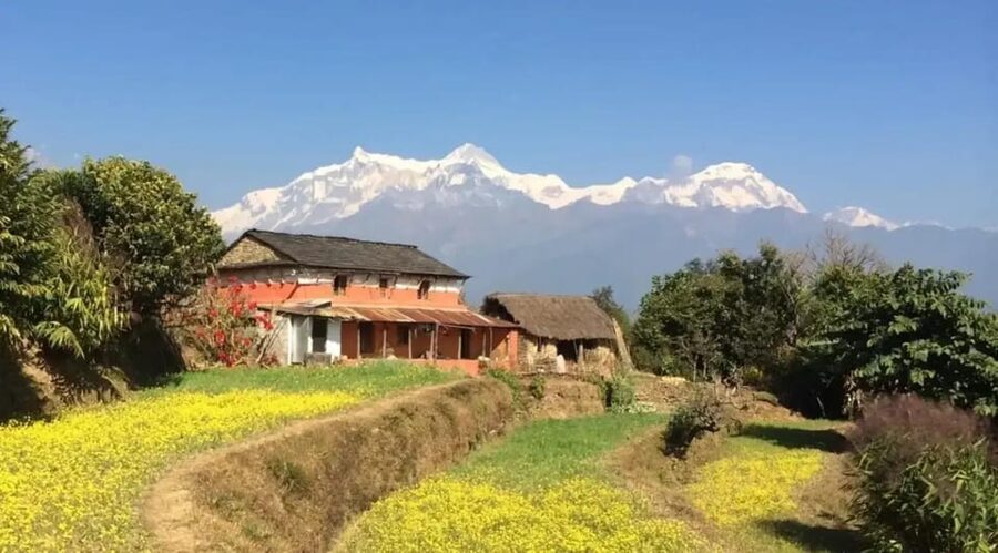 Pokhara : Easy Dhampus & Astam Village Day Hike - The Astam segment: long scenic walking through trees and farmland