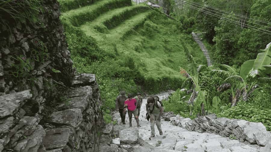 Pokhara: Guided Day Hike From Dampus To Australian Base Camp - Key things worth knowing before you go