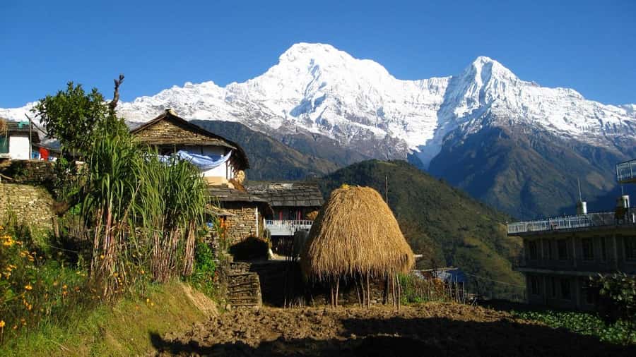 Pokhara: Guided Day Hike From Dampus To Australian Base Camp - Should you book this Dhampus to Australian Camp guided hike?