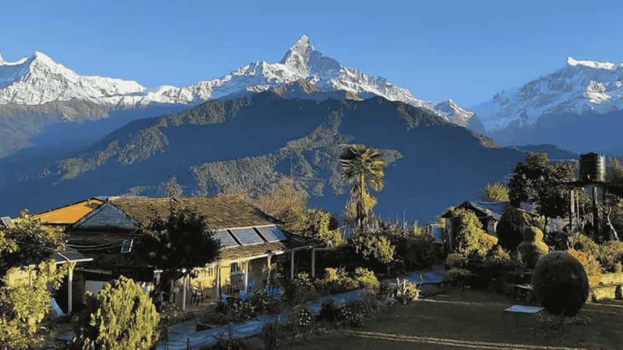 Pokhara: Guided Day Hike From Dampus To Australian Base Camp - Dhampus to Australian Camp: the one-day Annapurna experience that actually fits real schedules