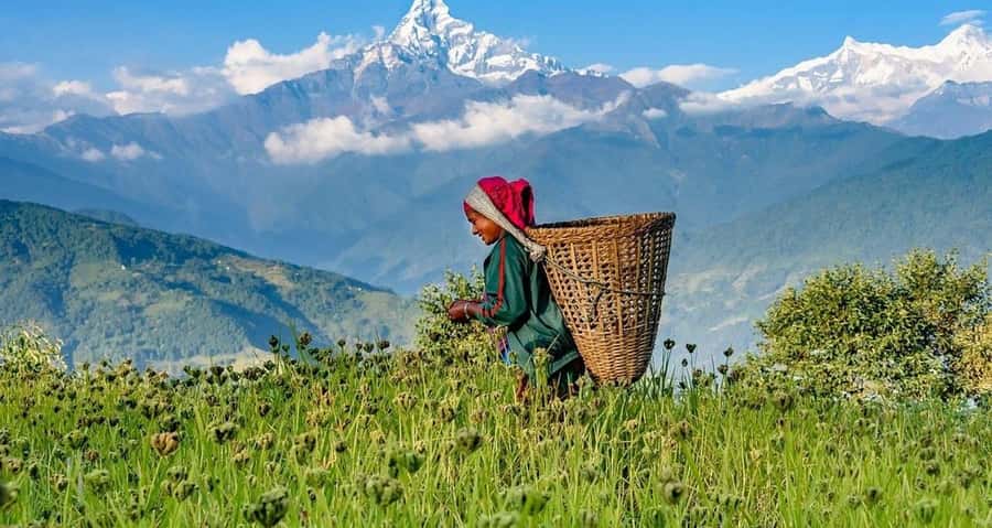 Pokhara: Guided Day Hike From Dampus To Australian Base Camp - Australian Camp at about 2,100 meters: the sunrise viewpoint payoff