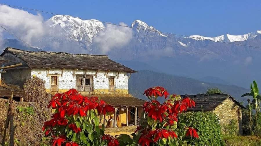 Pokhara: Guided Day Hike From Dampus To Australian Base Camp - Who should choose this hike, and who might want something else