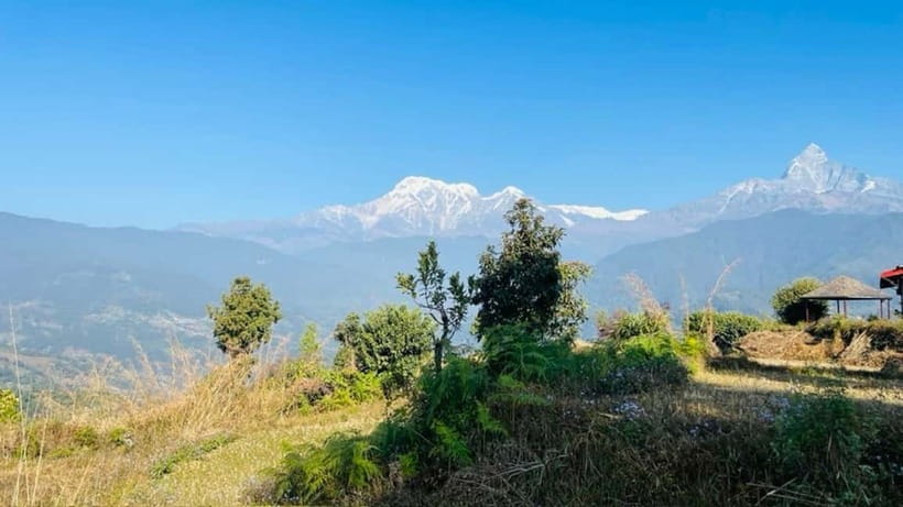 Pokhara: Hike To Australian Base Camp - The downhill reality: steps are part of the deal