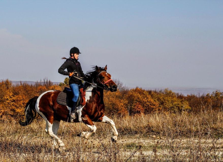 Pokhara: Horseback Adventure - Why a Horse Ride by Fewa Lake Is Such a Good Pokhara Choice