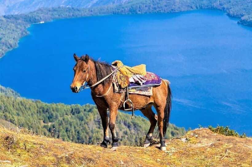 Pokhara: Horseback Riding Adventure with Hotel Pickup - Horses, Guides, and Instructions: The Part That Makes or Breaks the Day