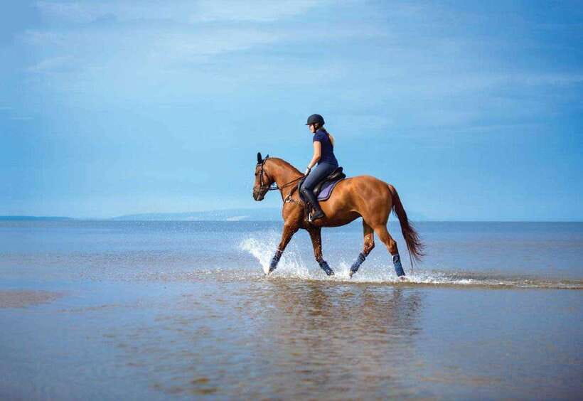 Pokhara: Horseback Riding Adventure with Hotel Pickup - What to Bring and How to Show Up Ready