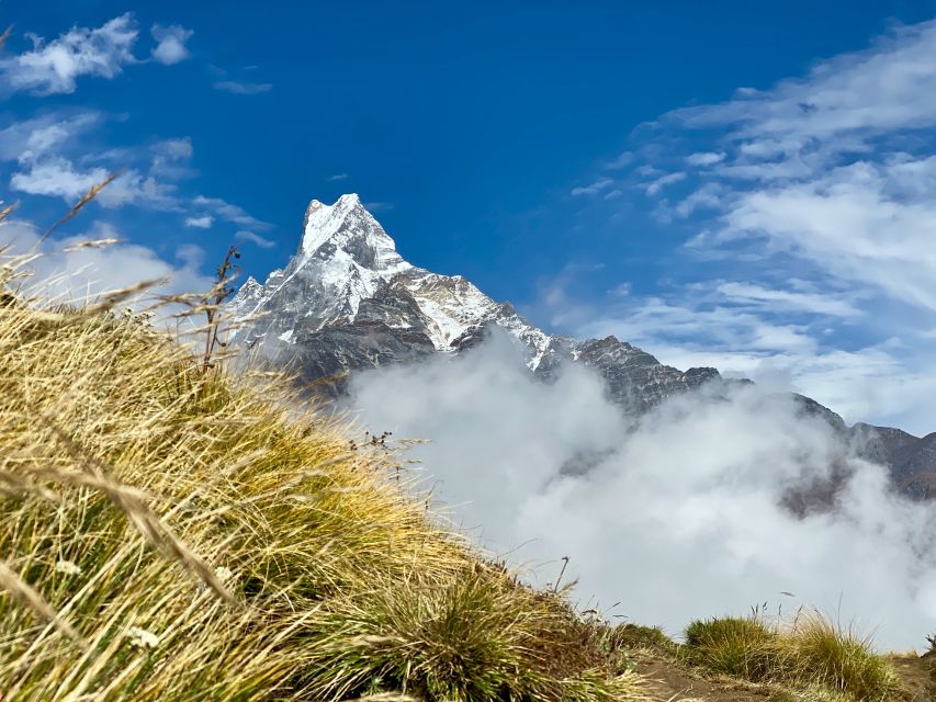 Pokhara: Majestic Mardi Base Camp Guided Trek with HotSpring - Day 3: The 4:00 am Viewpoint Push, Fishtail and Annapurna Panoramas