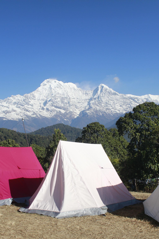 Pokhara: One night camping, campfire stay at Australian camp - Price and Value: What You Pay For at $86 Per Person
