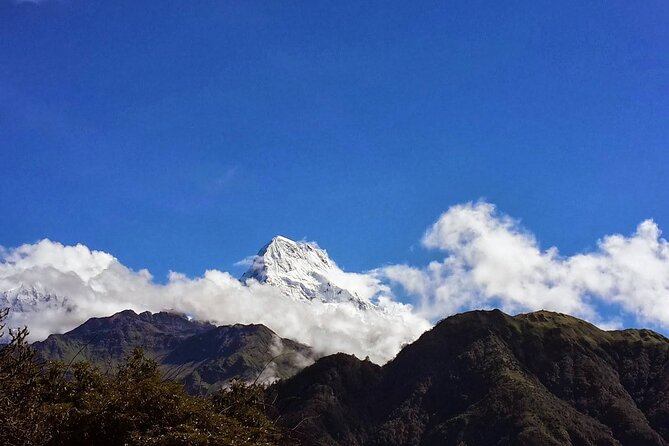 Pokhara: Poon Hill Ghorepani Short Trek - Price and logistics: what your $290 covers and what you still pay