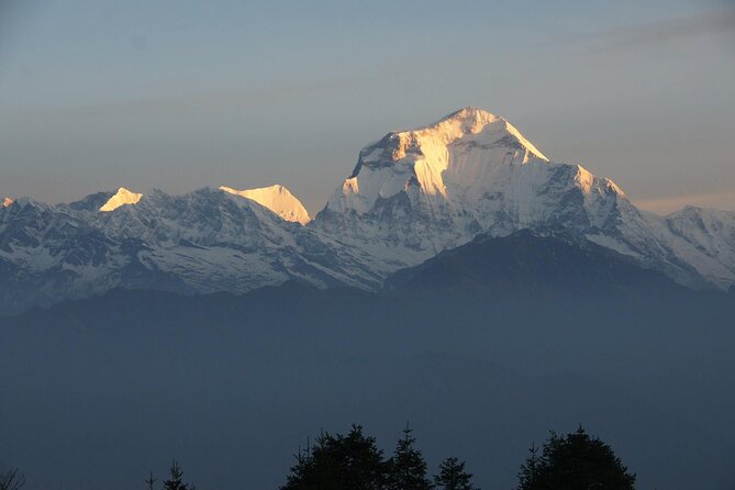 Pokhara: Poon Hill Ghorepani Short Trek - Day 2 Ghorepani arrival: forests, green hills, and your overnight guesthouse
