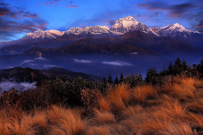 Pokhara: Poon Hill Ghorepani Short Trek - Day 3 Poon Hill sunrise at 4:00 AM: the 3,210-meter payoff