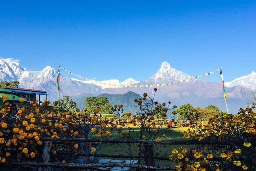 Pokhara: Poon Hill Trek - Key Highlights Worth Booking For