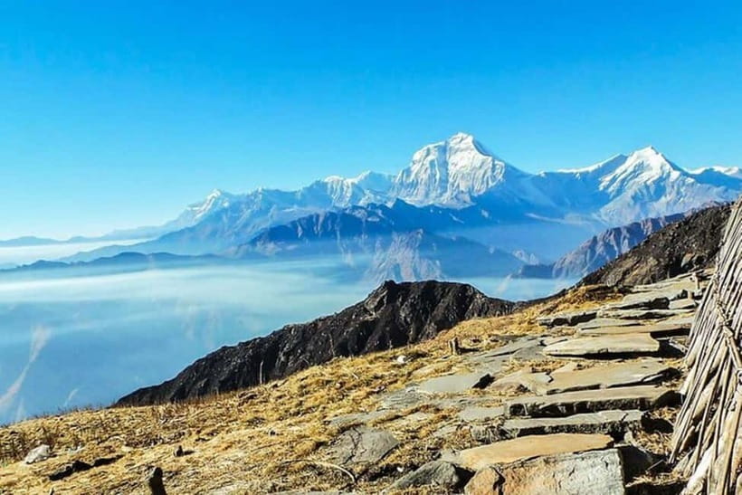 Pokhara: Poon Hill Trek - Day 2: Ulleri to Ghorepani and the Colorful Rhododendron Forest Stretch