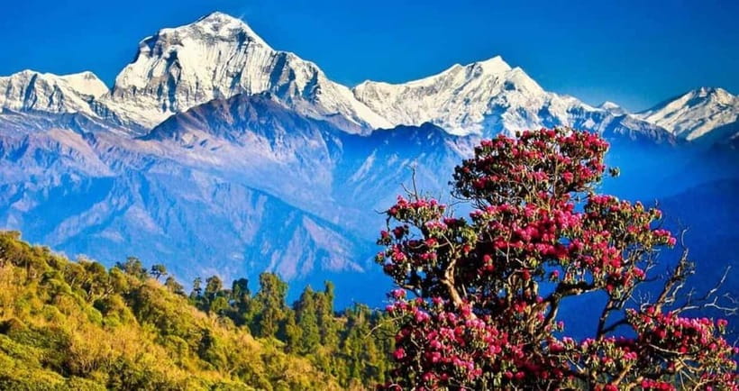 Pokhara: Poon Hill Trek - Your Guide and Porter Setup Can Make or Break the Days