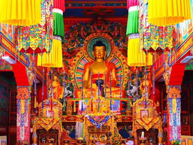 Pokhara: Private Half-Day Tour and Tibetan Culture Tour - Price and value: $24 plus entrance fees, so do the math early