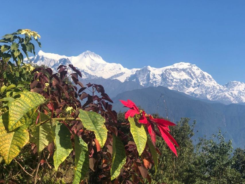 Pokhara: Sunrise Tour to Sarangkot - Sarangkot Sunrise: What You’re Really Waiting For