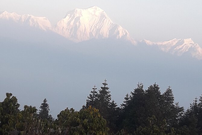 Poon hill Trek 3 days - Why this 3-day Poon Hill trek is such a practical Himalayas starter