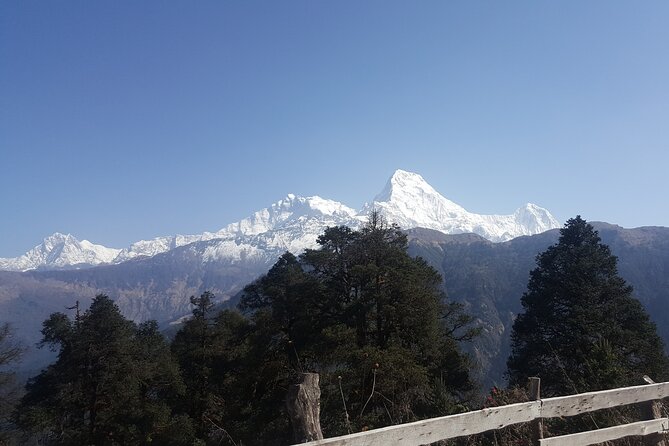 Poon hill Trek 3 days - Day two: village trails, rhododendrons, and wide-open sightlines