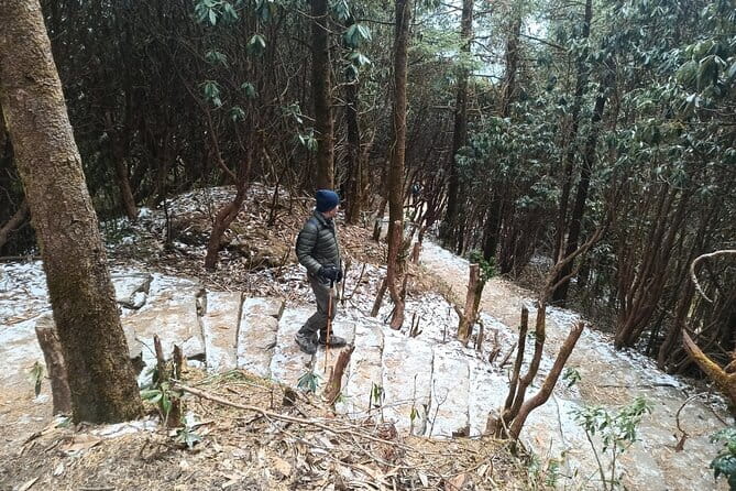 Poon Hill Trek from Pokhara 4 Days - Price and logistics: what $230 really covers