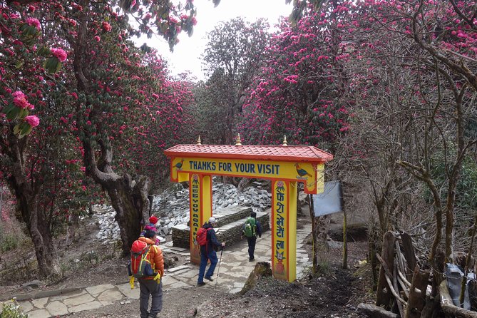 Poonhill Trek - Day 1 on the trail: Nayapool start, Modi River stroll, and the Ulleri climb