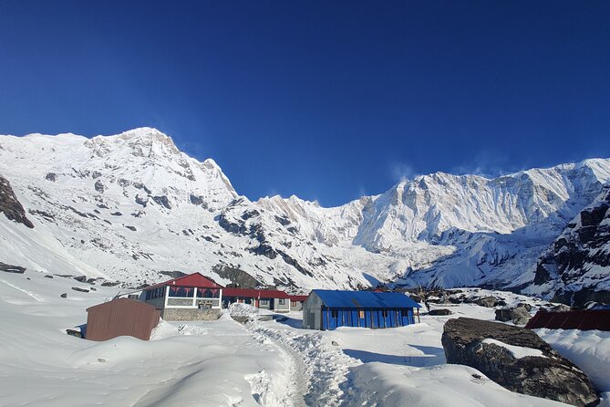 Private 12-Day All Inclusive Guided Annapurna Base Camp Trek Tour - Day 5: Sinuwa and Dobhan, forests, and the steady build