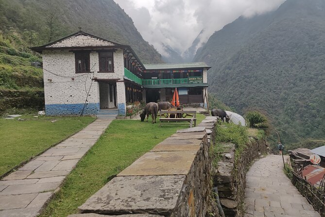 Private 12-Day All Inclusive Guided Annapurna Base Camp Trek Tour - Day 6: Bamboo to Deurali, waterfalls in the mix