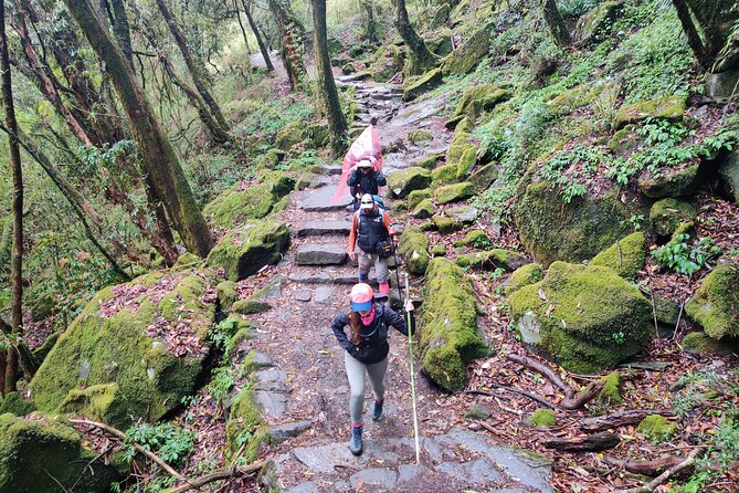 Private 12-Day All Inclusive Guided Annapurna Base Camp Trek Tour - Day 7: Deurali to Machhapuchhre Base Camp, then the big jump to ABC