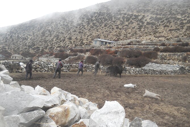 Private 12 - Day Everest Base Camp Trekking - Dingboche and the long climb toward higher altitude comfort