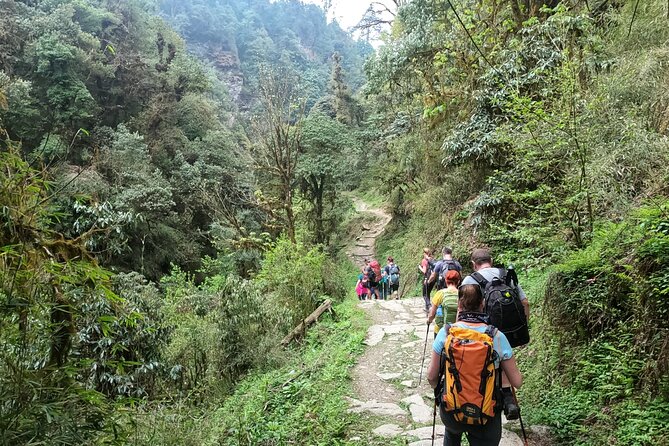 Private 4 - Day Poon Hill Trekking - Day 2: From Banthanti up stone steps to Ghorepani’s Magar village views