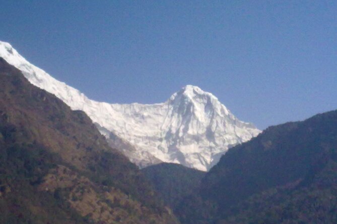 Private 4 - Day Poon Hill Trekking - Day 3: Poon Hill sunrise at 3,193 meters, then rhododendron forest to Tadapani