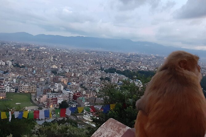 Private Day Tour at the World Heritage Site in Kathmandu Valley - Stop 3: Boudhanath Stupa for scale and religious atmosphere
