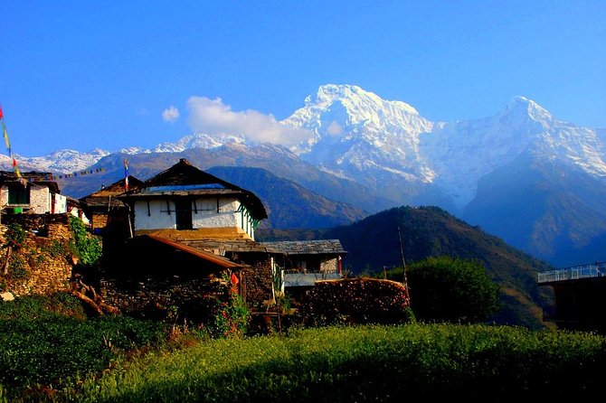 Private Full-Day Hike in the Annapurna Foothills in Pokhara - Why This Annapurna Foothills Hike Feels More Local Than Big-Group Trekking