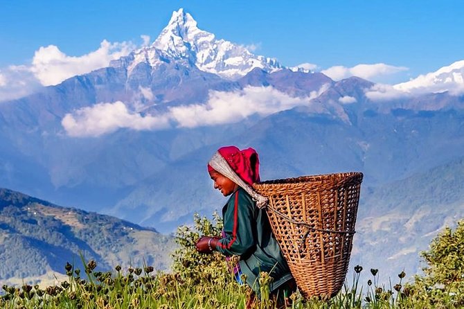 Private Full-Day Hike in the Annapurna Foothills in Pokhara - Morning Pickup, Meeting Time, and the Drive Toward Phedi