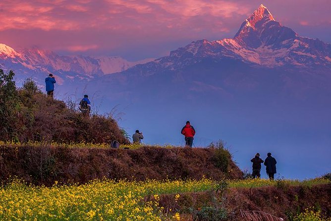 Private Full-Day Hike in the Annapurna Foothills in Pokhara - The Forest Start: A Calming First Segment Before Dhampus