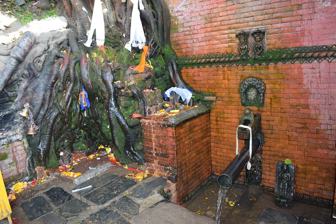 Private Half Day Budhanilkantha Tour - Timing tips: how to make the most of your half-day