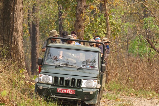 Private Jeep Safari (8-10 hrs.)inside Chitwan National Park. - First Light in Sauraha: the 6:30 am start matters