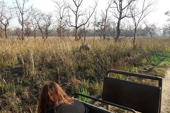 Private Jeep Safari (8-10 hrs.)inside Chitwan National Park. - The full-day flow inside Chitwan, from sunrise to just-before sunset
