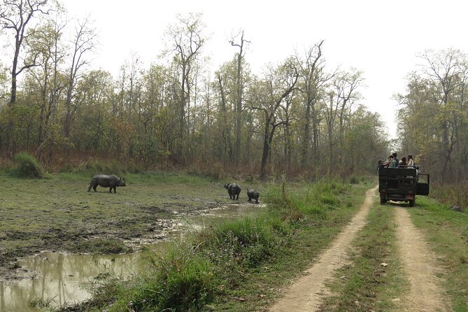 Private Jeep Safari (8-10 hrs.)inside Chitwan National Park. - Timing: when October to April gives you the best odds
