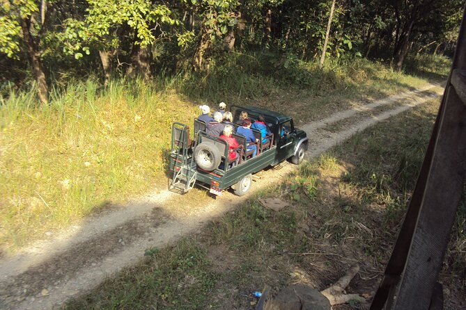 Private Jeep Safari (8-10 hrs.)inside Chitwan National Park. - Price and value: is $196.66 per person worth it?