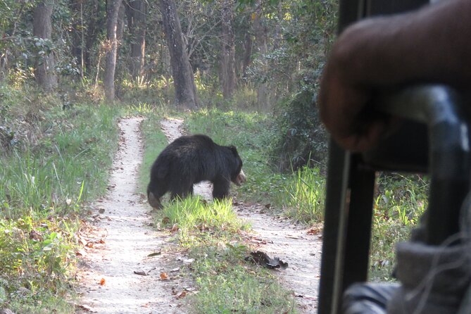 Private Jeep Safari (8-10 hrs.)inside Chitwan National Park. - Riding deeper into Chitwan by open-hood jeep